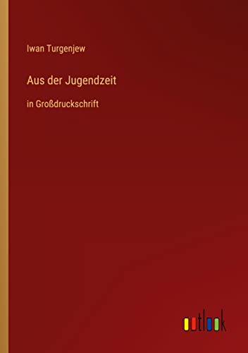 Aus der Jugendzeit: in Großdruckschrift