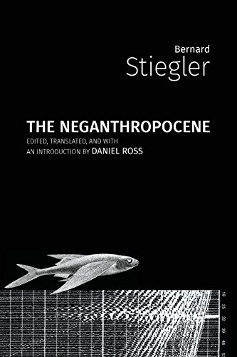 Bernard Stiegler The Neganthropocene (Critical Climate Chaos, Band 1)