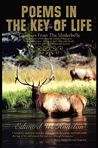 POEMS IN THE KEY OF LIFE: Glimpses From The Underbelly