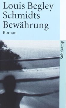 Schmidts Bewährung. Roman