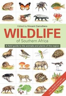 The wildlife of South Africa: A field guide to the animals and plants of the region von Carruthers, Vincent | Buch | Zustand gut