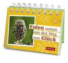 Eulen weisen uns den Weg zum Glück Geschenkbuch