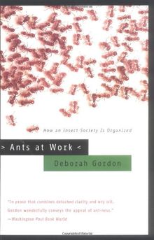 Ants at Work: How an Insect Society is Organized