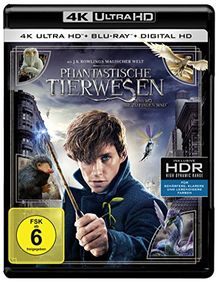 Phantastische Tierwesen und wo sie zu finden sind (4K UHD) [Blu-ray]