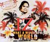 What a Wonderful World (2-Track)
