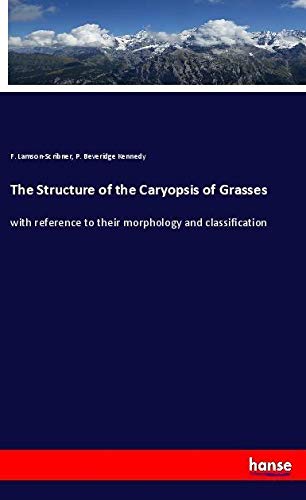 The Structure of the Caryopsis of Grasses: with reference to their morphology and classification