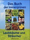 Das Buch der immergrünen Laubbäume und Sträucher