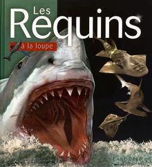 Les requins