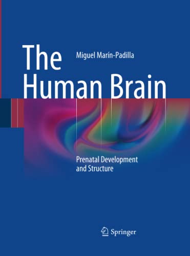 The Human Brain: Prenatal Development and Structure