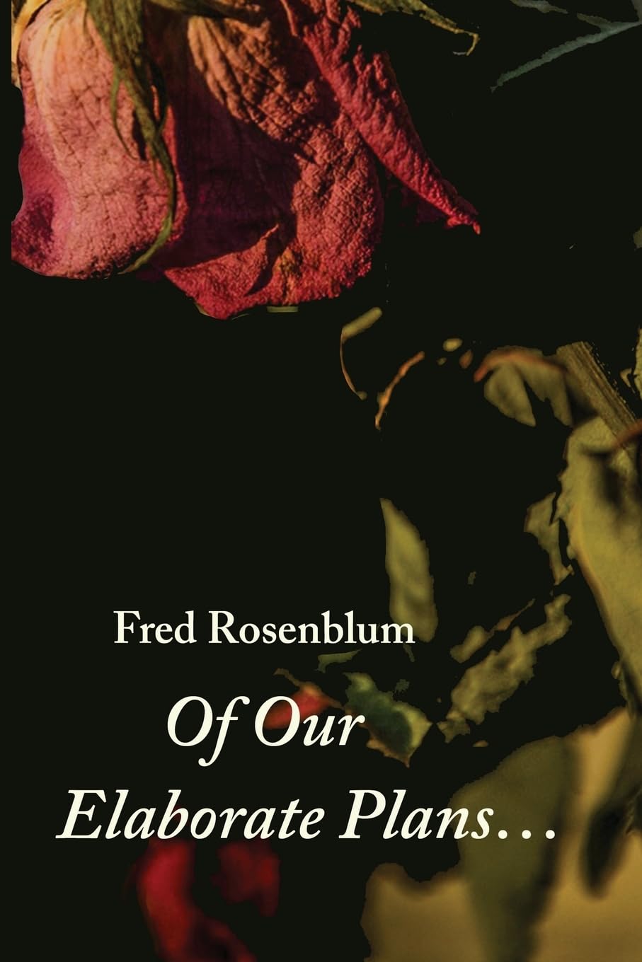 Oelder Buchhandlung – Lange Str, 59302 Oelde