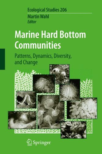 Marine Hard Bottom Communities: Patterns, Dynamics, Diversity, and Change (Ecological Studies, Band 206)