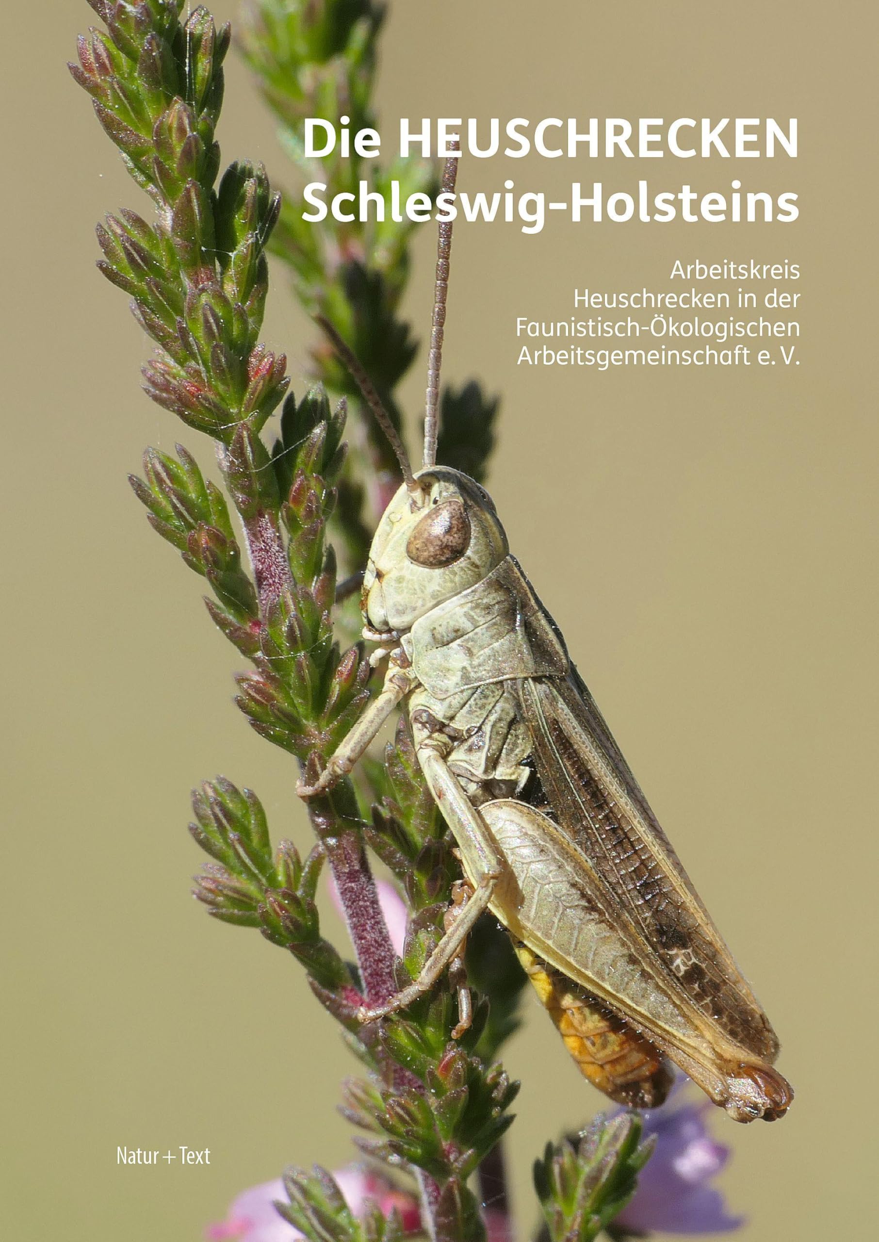 Winkler, Christian: Die Heuschrecken Schleswig-Holsteins