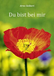 Du bist bei mir (Fundus-Reihe)