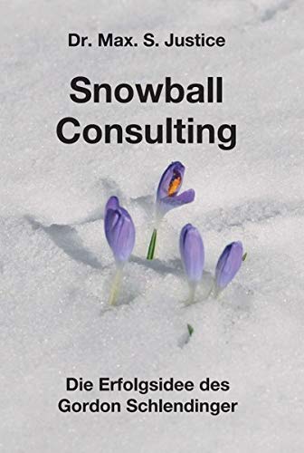 Snowball Consulting: Die Erfolgsidee des Gordon Schlendinger (Deutsche Wirtschaft Inside)