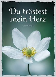 CD-Geschenk-Card Du tröstest mein Herz: Mit CD in Normalgröße und drei Liedern