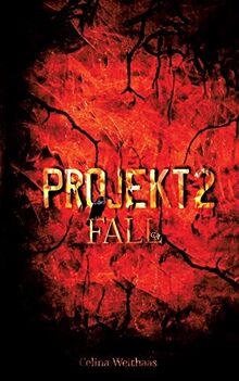 Projekt II: Fall (Die Chroniken des Grauen Mannes)