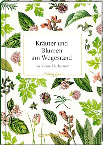 Kräuter und Blumen am Wegesrand: Das kleine Herbarium: Ein hochwertiges Geschenk für Naturliebhaber, mit Goldfolie und besonderem Covermaterial (Schöner lesen!, 49, Band 49)