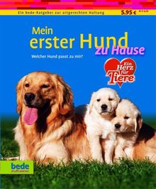 Mein erster Hund zu Hause