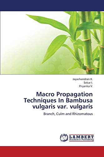 Macro Propagation Techniques In Bambusa vulgaris var. vulgaris: Branch, Culm and Rhizomatous