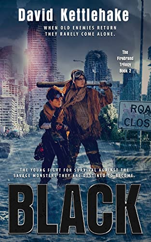 Black (The Firebrand Trilogy, Band 2)