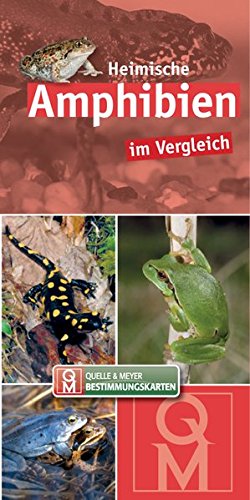 Heimische Amphibien: im Vergleich