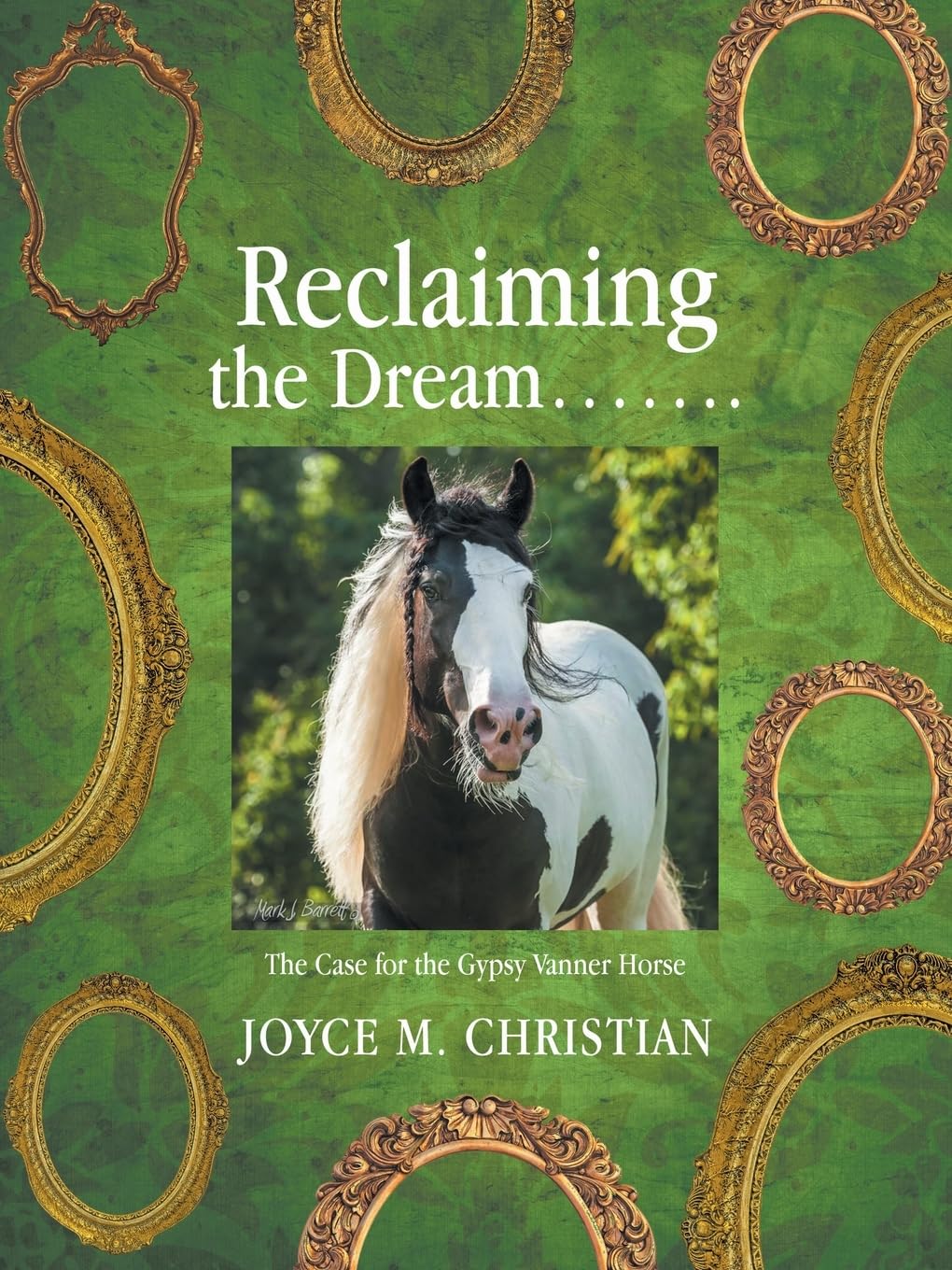 Reclaiming the Dream…….: The Case for the Gypsy Vanner Horse