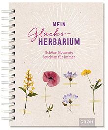 Mein Glücks-Herbarium: Schöne Momente leuchten für immer von Groh Verlag | Buch | Zustand sehr gut