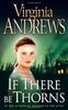 If There be Thorns (Dollanganger Family 3)