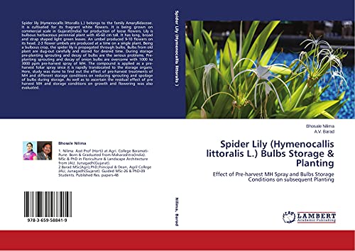 Spider Lily (Hymenocallis littoralis L.) Bulbs Storage & Planting: Effect of Pre-harvest MH Spray and Bulbs Storage Conditions on subsequent Planting