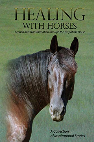 Feel Alumni Association Healing With Horses, Growth And Transformation Through The Way Of The Horse