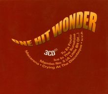 The One Hit Wonder Box von Various  | CD | Zustand gut