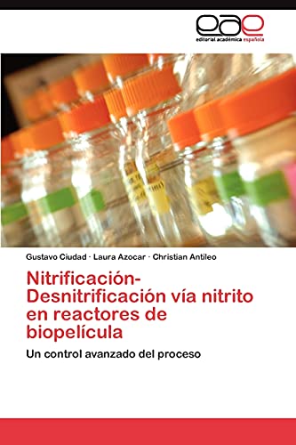 Nitrificación-Desnitrificación vía nitrito en reactores de biopelícula: Un control avanzado del proceso