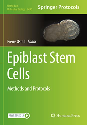 Epiblast Stem Cells: Methods and Protocols (Methods in Molecular Biology, 2490, Band 2490)