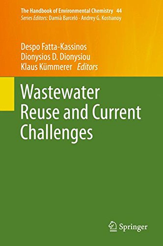 Wastewater Reuse and Current Challenges (The Handbook of Environmental Chemistry)