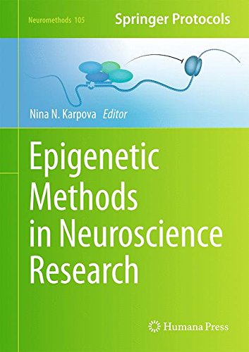 Epigenetic Methods in Neuroscience Research (Neuromethods)