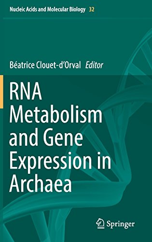 RNA Metabolism and Gene Expression in Archaea (Nucleic Acids and Molecular Biology, Band 32)