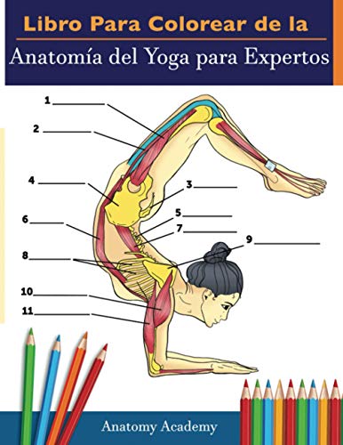 Libro Para Colorear de la Anatomía del Yoga para Expertos: 50+ Ejercicios de Colores con Posturas de Yoga Para Principiantes | El Regalo Perfecto Para Instructores de Yoga, Maestros y Aficionados