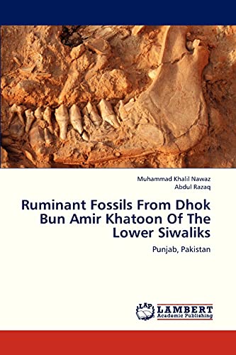 Ruminant Fossils From Dhok Bun Amir Khatoon Of The Lower Siwaliks: Punjab, Pakistan
