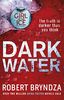 Dark Water (Detective Erika Foster 3)