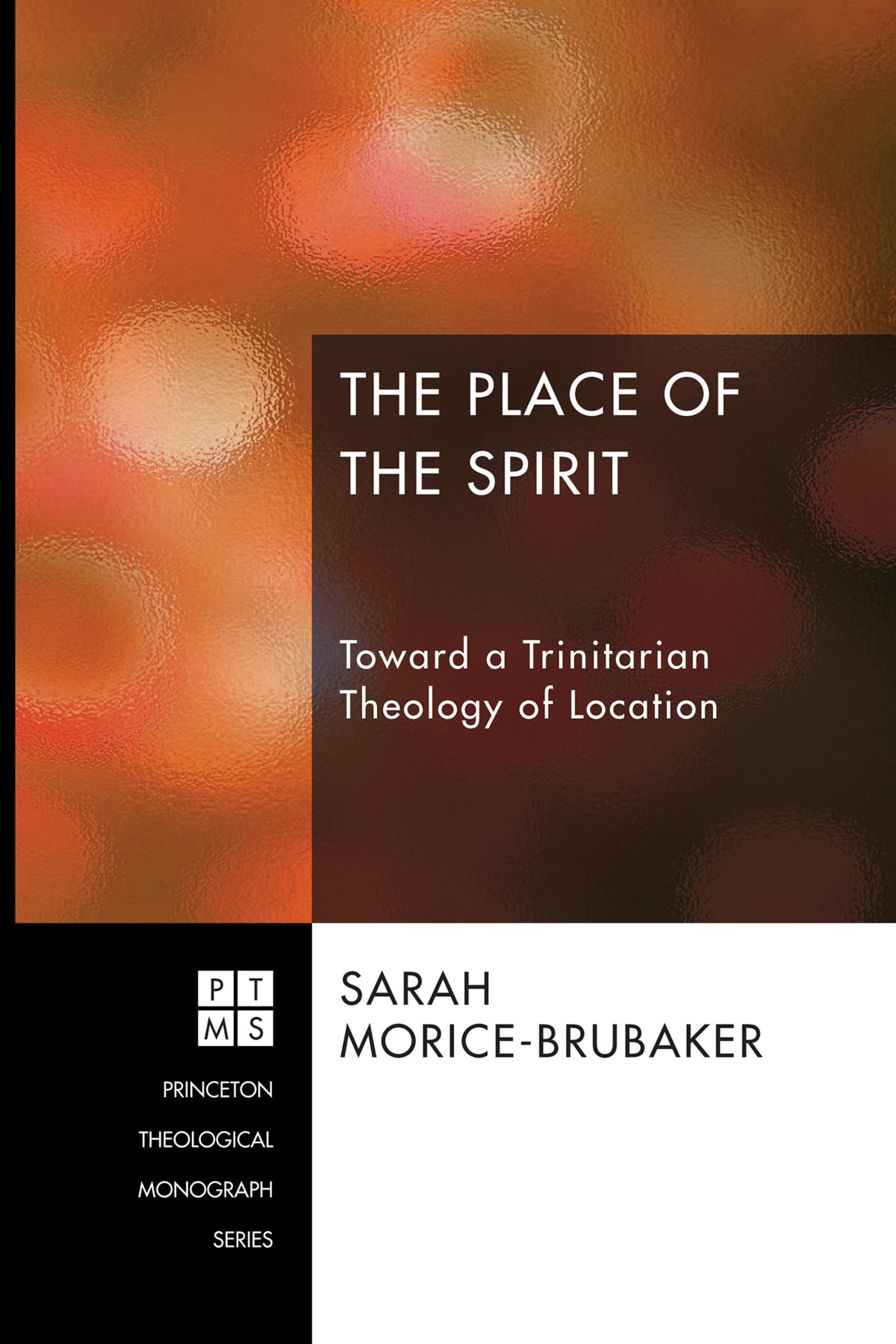 The Place of the Spirit: Toward a Trinitarian Theology of Location (Princeton Theological Monograph, Band 197)