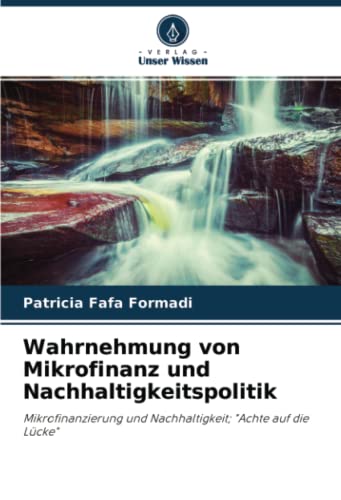 Wahrnehmung von Mikrofinanz und Nachhaltigkeitspolitik: Mikrofinanzierung und Nachhaltigkeit; Achte auf die Lücke