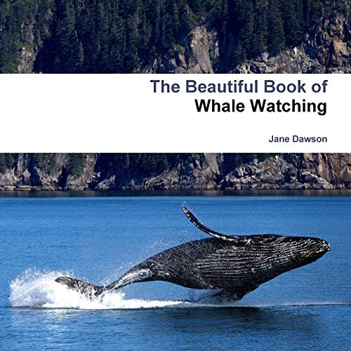 Jane Dawson The Beautiful Book Of Whale Watching