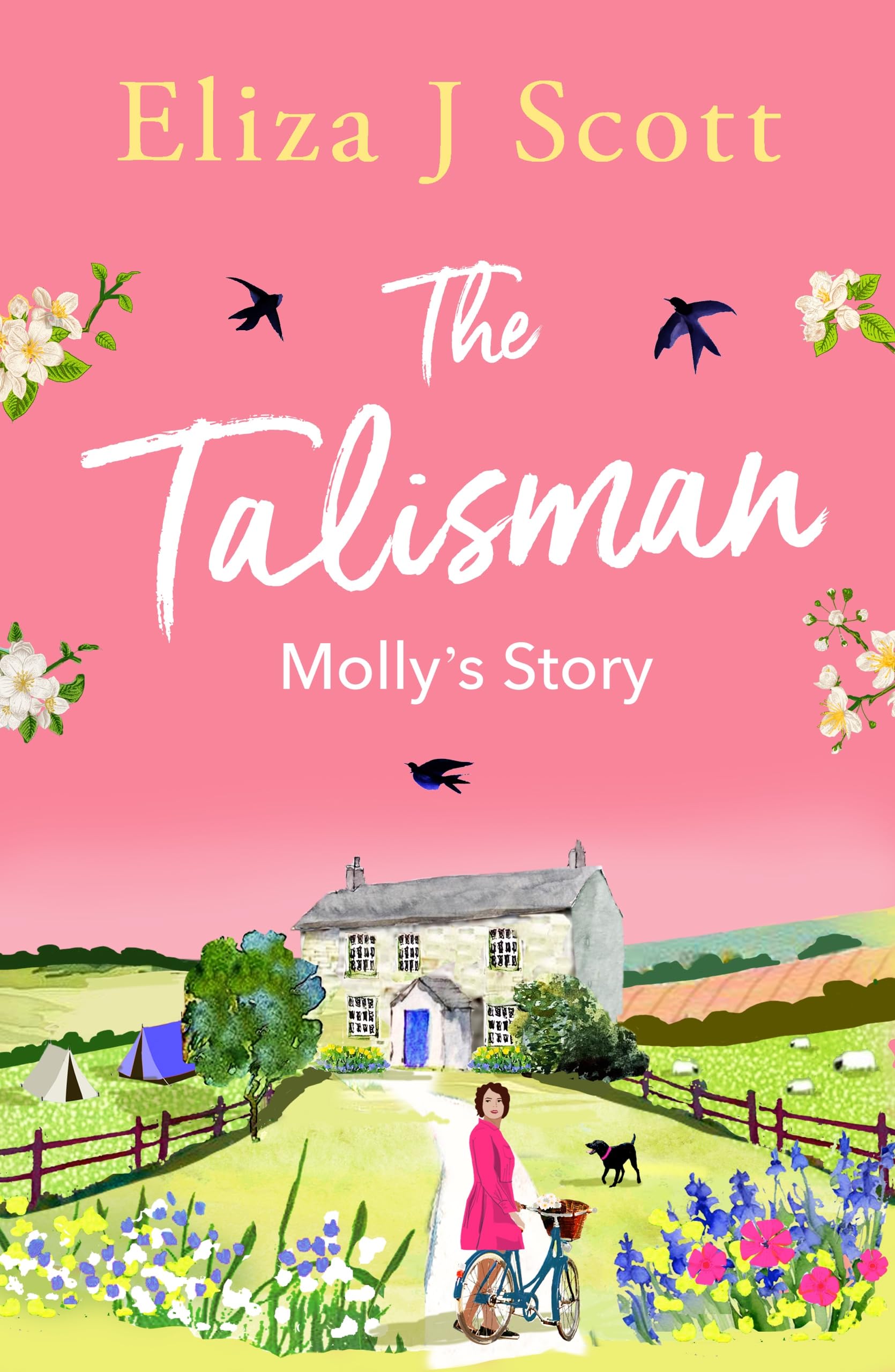 The Talisman - Molly’s Story: Molly’s Story (Life on the Moors, Band 2)
