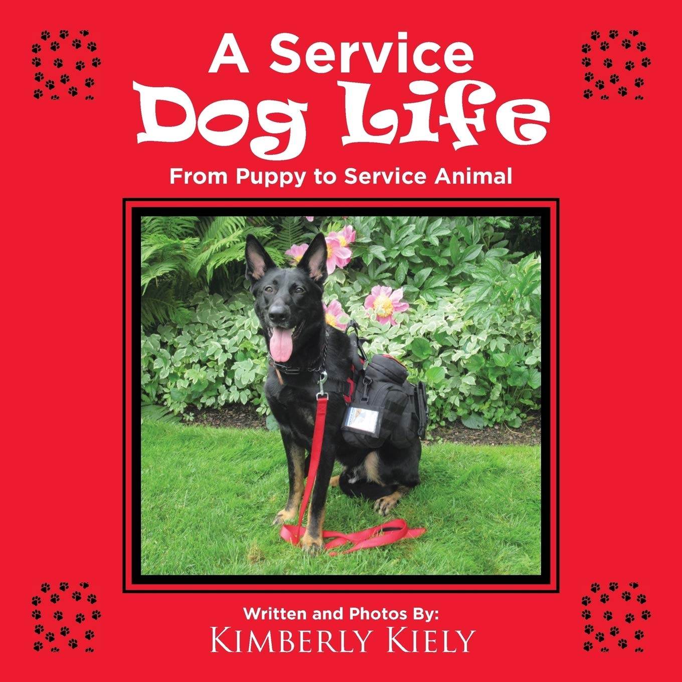 A Service Dog Life: From Puppy to Service Animal