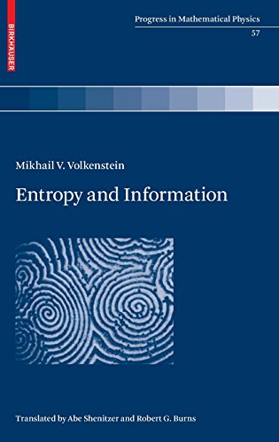 Entropy and Information (Progress in Mathematical Physics)
