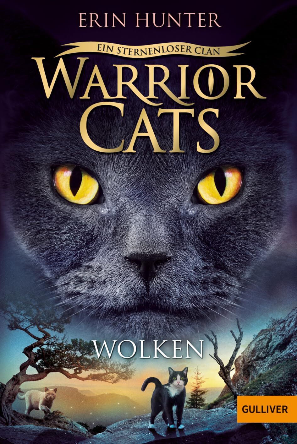 Hunter, Erin: Warrior Cats - Ein sternenloser Clan. Wolken
