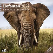 Elefanten 2022, Wandkalender / Broschürenkalender im Hochformat (aufgeklappt 30x60 cm) - Geschenk-Kalender mit Monatskalendarium zum Eintragen