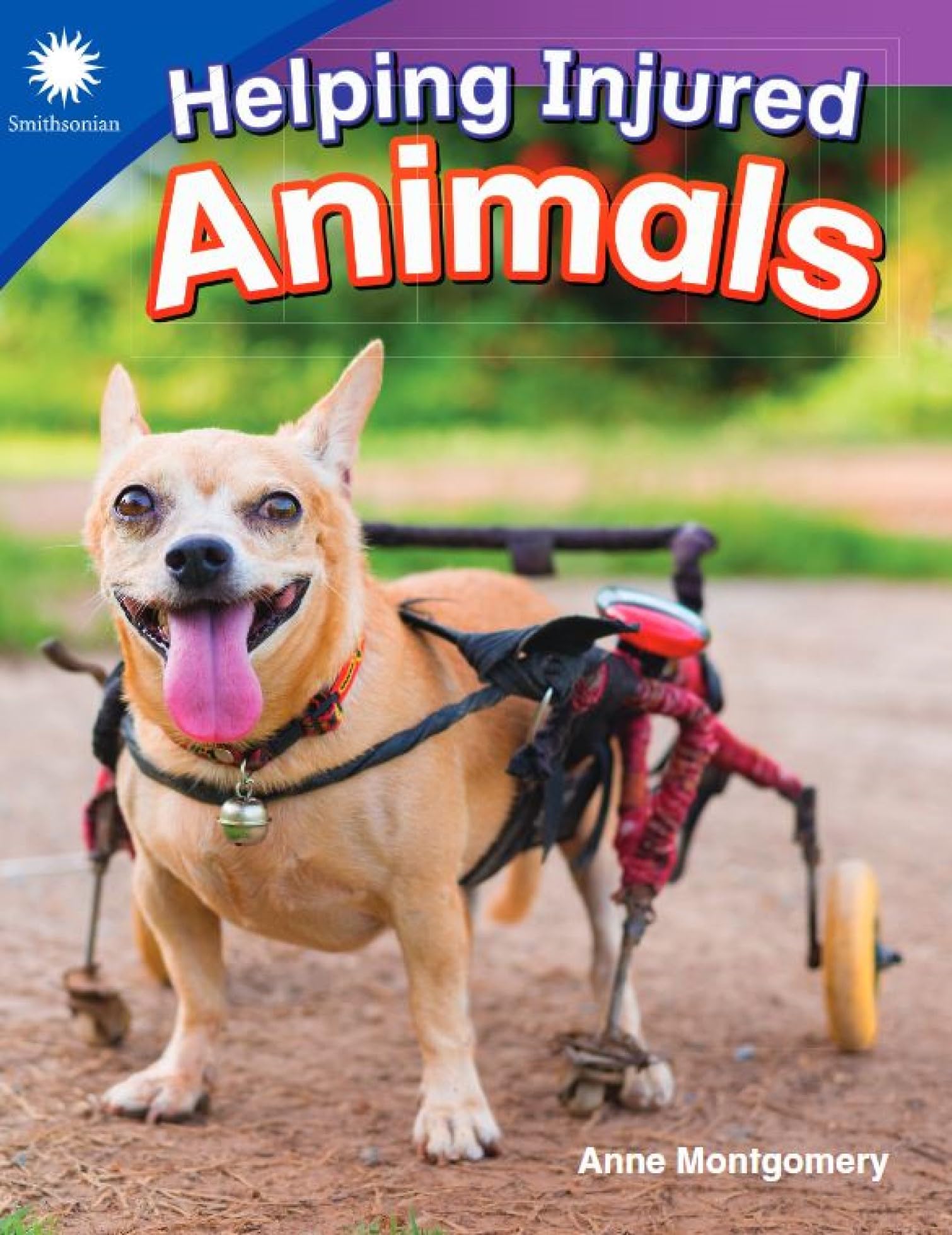 Helping Injured Animals (Smithsonian)