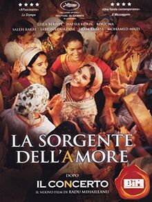 La sorgente dell'amore [IT Import]