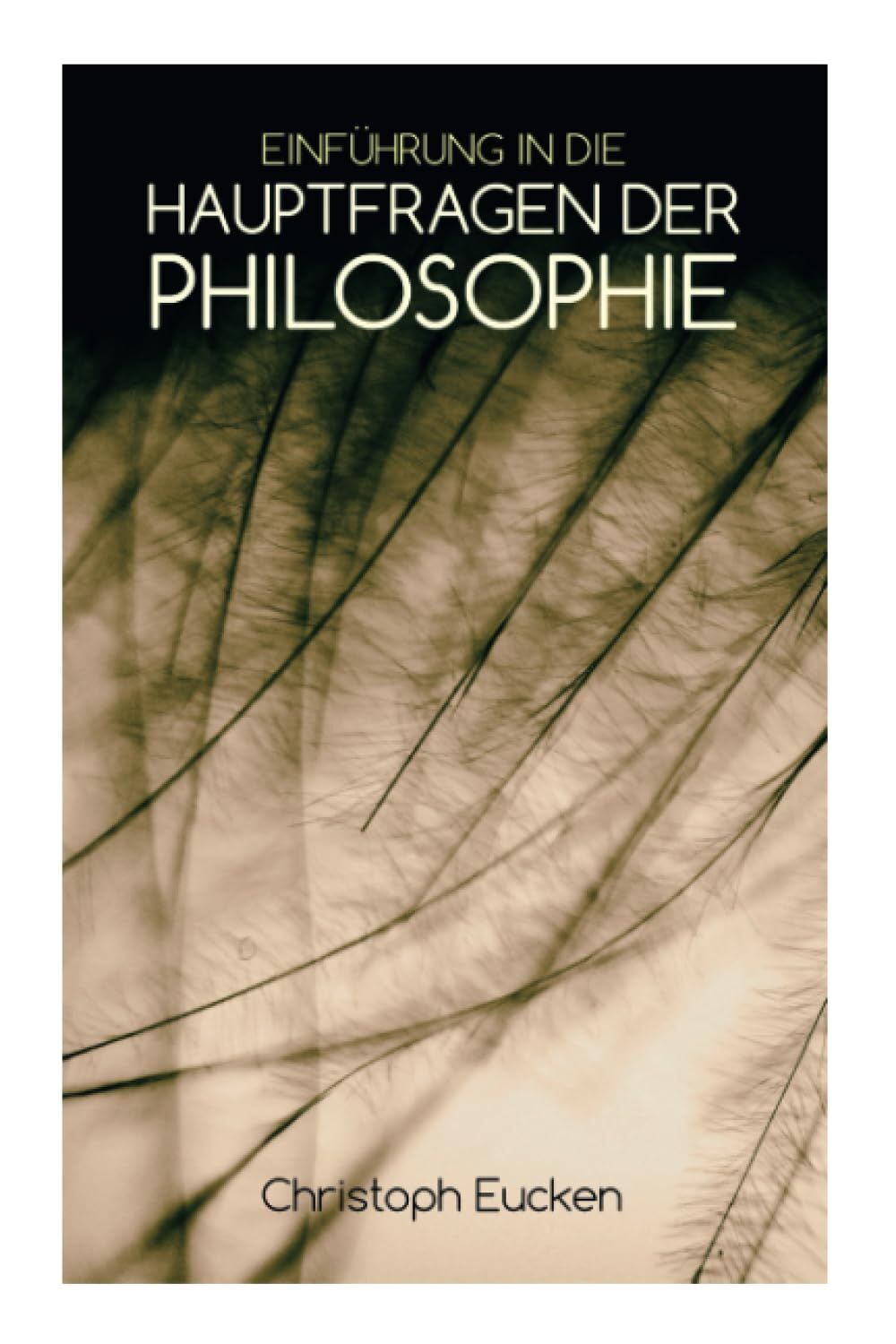 Einführung in die Hauptfragen der Philosophie